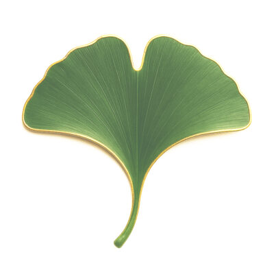 GingkoBlatt2