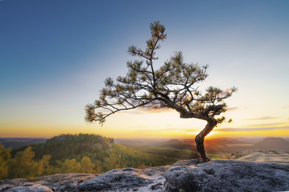 Hintergrundbild - Praxis Hilda Nikolic
